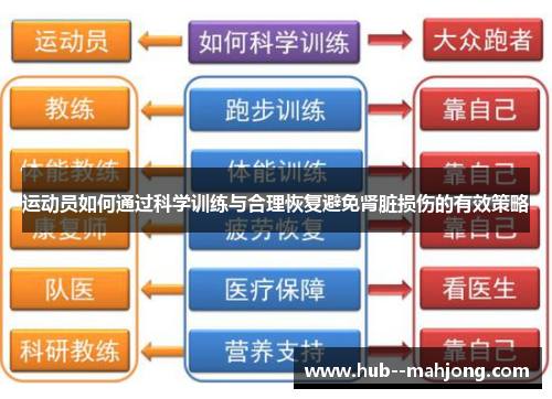 运动员如何通过科学训练与合理恢复避免肾脏损伤的有效策略 运动员如何通过科学训练与合理恢复避免肾脏损伤的有效策略