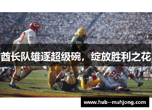 酋长队雄逐超级碗，绽放胜利之花